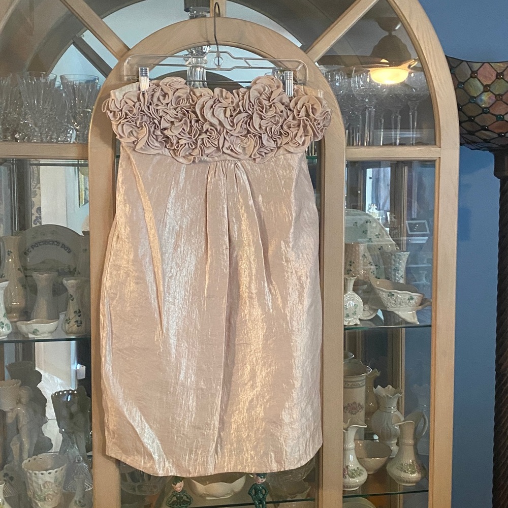 Alexia Admor pink champagne strapless cocktail dress @knee, floral appliques.